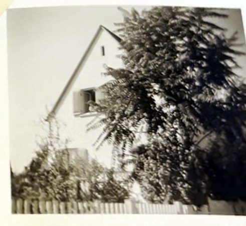 Giebel eines Hauses hinter einem Baum